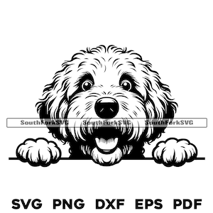 Chien Goldendoodle furtif svg png dxf eps pdf | graphique vectoriel découpé fichier laser clip art | Téléchargement numérique instantané, utilisation commerciale