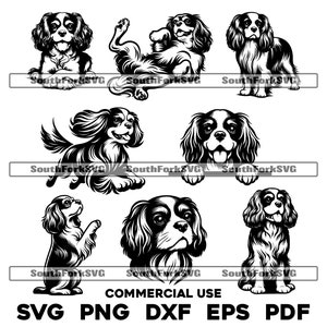 Cavalier King Charles Spaniel Dog Bundle svg png dxf eps pdf gráfico vetorial arquivo de corte laser clip art download digital instantâneo uso comercial