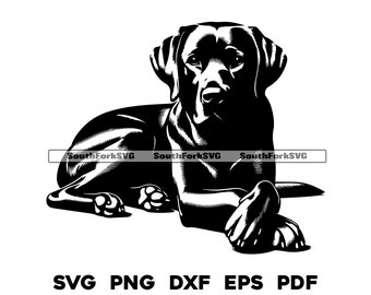 Labrador Retriever Dog Laying Design 4 svg png dxf eps pdf | vector graphic cut file laser clip art instant digital download commercial use