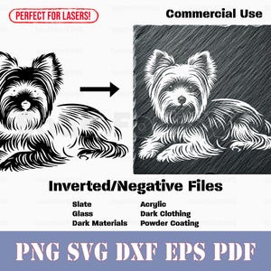 May include: Black and white illustration of a Yorkshire Terrier dog in a lying down position. The image includes the text "Commercial Use" and "Inverted/Negative Files". The image is available in PNG, SVG, DXF, EPS, and PDF formats.