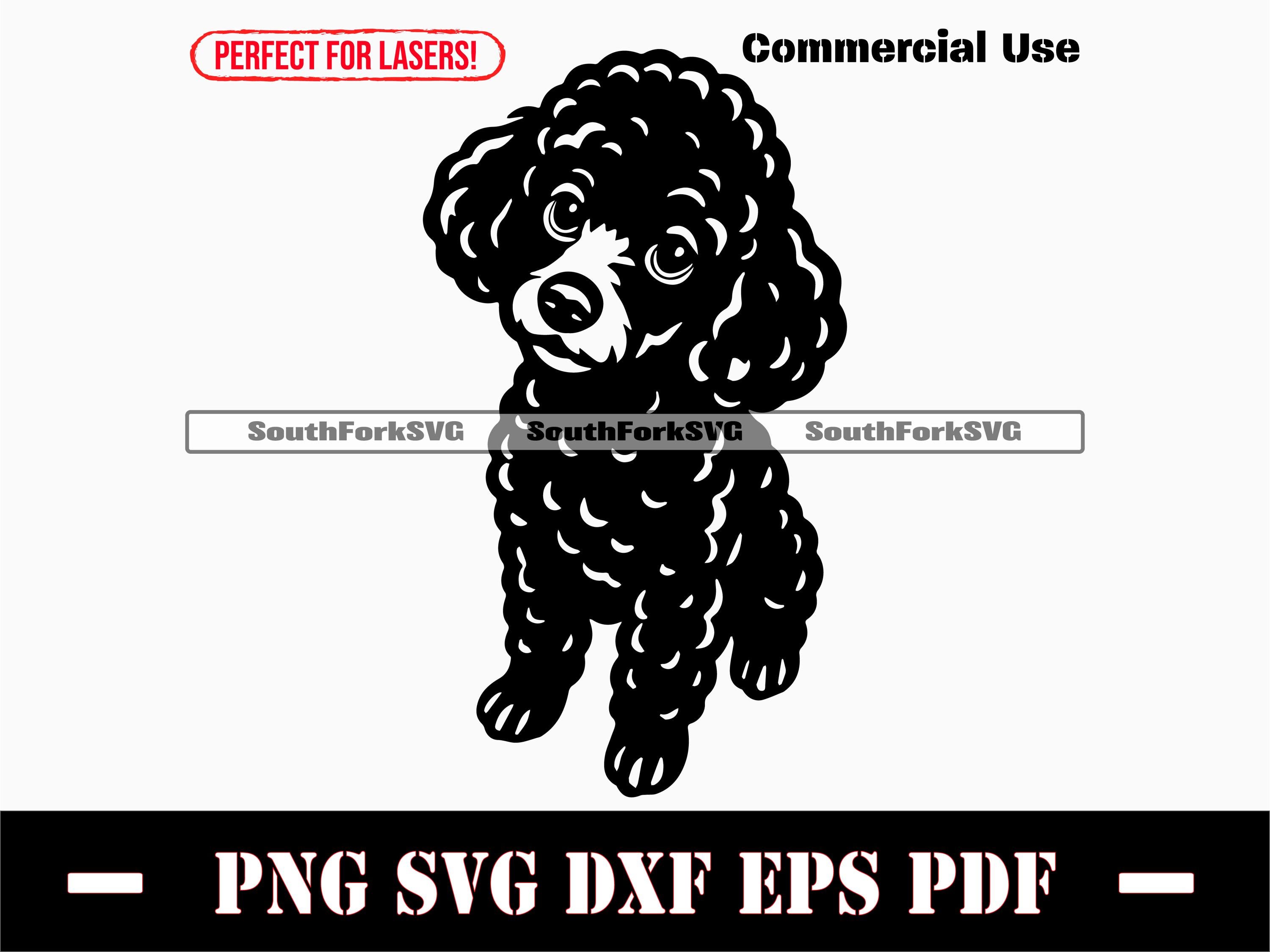 トイプードルのおねだり svg png dxf eps pdf | ベクターグラフィック