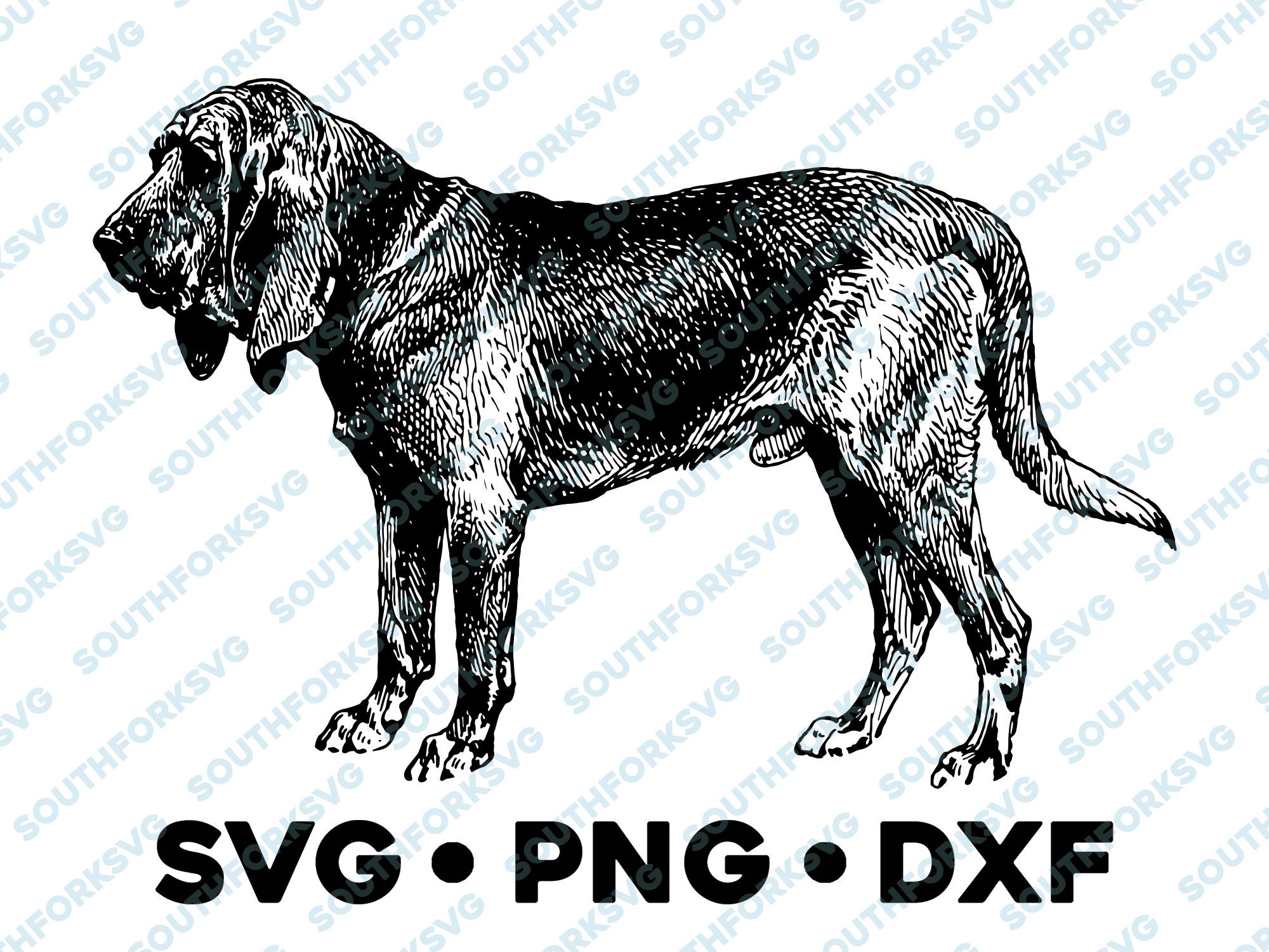 Bloodhound Dog Breed SVG PNG DXF Cricut cameo graphic | Etsy