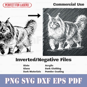 Umgedrehtes Maine Coon Katzenportrait svg png dxf eps pdf | kommerzielle Nutzung