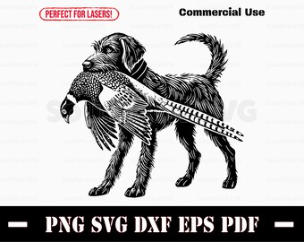 Braco alemán de pelo duro, faisán, caza, svg, png, dxf, eps, pdf / archivo de corte gráfico vectorial, clip art láser / descarga instantánea para uso comercial