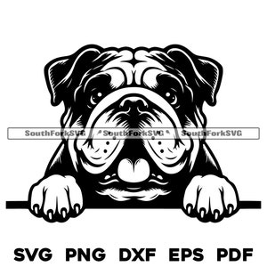 Design de cachorro buldogue inglês espiando | svg png dxf eps pdf | arquivo de corte de gráfico vetorial a laser clip art | download instantâneo para uso comercial