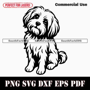 Maltese Begging svg png dxf eps pdf / grafica vettoriale stencil file di taglio laser clip art stampa download digitale istantaneo uso commerciale
