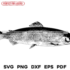 Puede incluir: Ilustración en blanco y negro de un salmón. El pez está mirando hacia la derecha y tiene un cuerpo detallado y texturizado. La imagen está etiquetada como "PERFECT FOR LASERS!" y "SouthForkSVG".