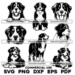 Berner Sennenhund Bundle svg png dxf eps pdf | Vektorgrafik Datei Laser Clip Art schneiden | sofortiger digitaler Download kommerzielle Nutzung