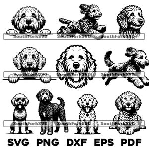 Goldendoodle Hunderasse Bündel | svg png dxf eps pdf | Vektorgrafik Datei Laser Clip Art schneiden | sofortiger digitaler Download kommerzielle Nutzung