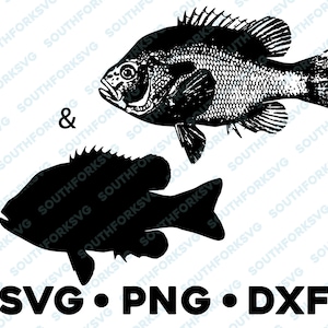 Long Ear Bluegill Panfish Sunfish SVG PNG DXF vector transparent  cameo silhouette cut file vinyl decal fishing outdoors bass pike
