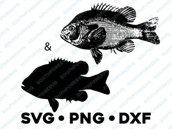 Long Ear Bluegill Panfish Sunfish SVG PNG DXF vector transparent cameo  silhouette cut file vinyl decal fishing outdoors bass pike