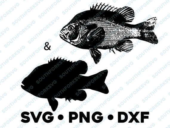 Long Ear Bluegill Panfish Sunfish SVG PNG DXF vector transparent cameo  silhouette cut file vinyl decal fishing outdoors bass pike