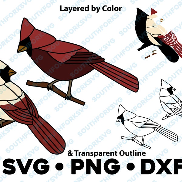 Male & Female Cardinals SVG PNG DXF Layered By Color Cut File  Silhouette Cameo Backyard Birds Botanical Design Nature Illustration