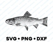 トップス brook Trout Logo Design Glay/XL BLUESSBrookBACKversion2Backgro
