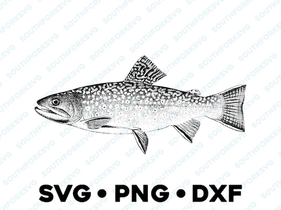 Brook Trout SVG PNG DXF rainbow brown salmon transparent vector graphic  design silhouette fishing hunting outdoors animal bass fly