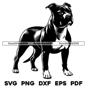 Designfiler för pitbullhundar | svg png dxf eps pdf | vektorgrafik, skärfil, laserklipp | omedelbar digital nedladdning för kommersiellt bruk