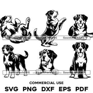 Schweizer Sennenhund Bundle Pack svg png dxf eps pdf Vektorgrafik Schnittdatei Laser Clip Art Sofort-Download Kommerzielle Nutzung