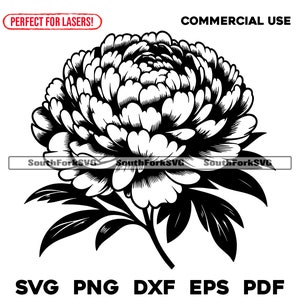 Pfingstrose Blumenmuster svg png dxf eps pdf | Vektorgrafik Datei Laser Clip Art schneiden | sofortiger digitaler Download kommerzielle Nutzung