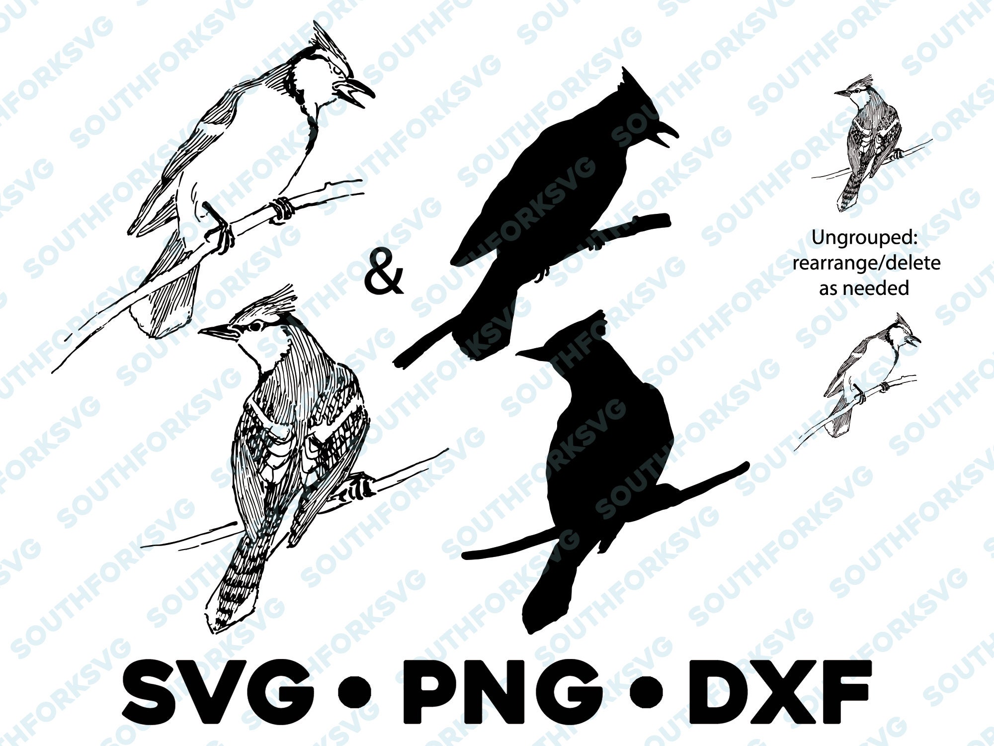 Blue Jays Bird vector Silhouette Svg file