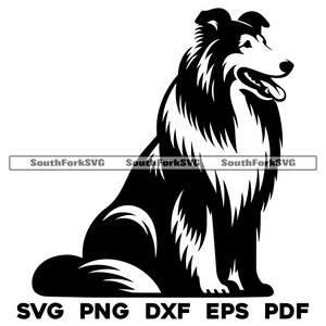 Collie Hund sitzend Design | svg png dxf eps pdf | Vektorgrafik Datei Laser Clip Art schneiden | sofortiger digitaler Download kommerzielle Nutzung