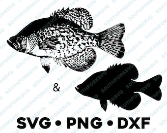 Crappie White Black Bass Sunfish SVG PNG DXF vector transparent  cameo silhouette cut file vinyl decal fishing outdoors nature animal