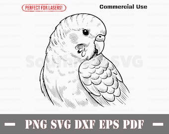 Parakeet Bird Design | svg png dxf eps pdf | vector graphic cut file laser clip art | instant digital download commercial use