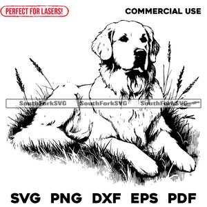 Arquivo de gravação a laser Golden Retriever svg png dxf eps pdf | design gráfico vetorial corte impressão sublimação cnc digital uso comercial