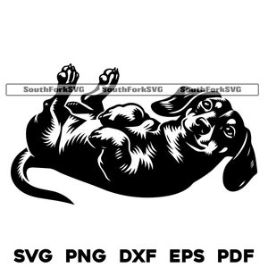 Teckel Weiner hond tot op zijn rug svg png dxf eps pdf vectorafbeelding knippen bestand laser clip art | direct digitaal downloaden voor commercieel gebruik