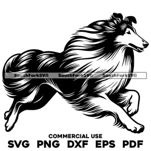 Collie Dog Running Design | svg png dxf eps pdf | vector graphic cut file laser clip art | instant digital download commercial use