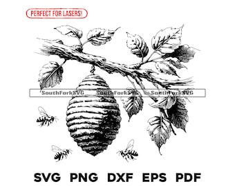 Bee Hive lasergraveringsfiler svg png dxf eps pdf vektorgrafik design klipp ut färgämnesunderskrift digitala filer kommersiellt bruk