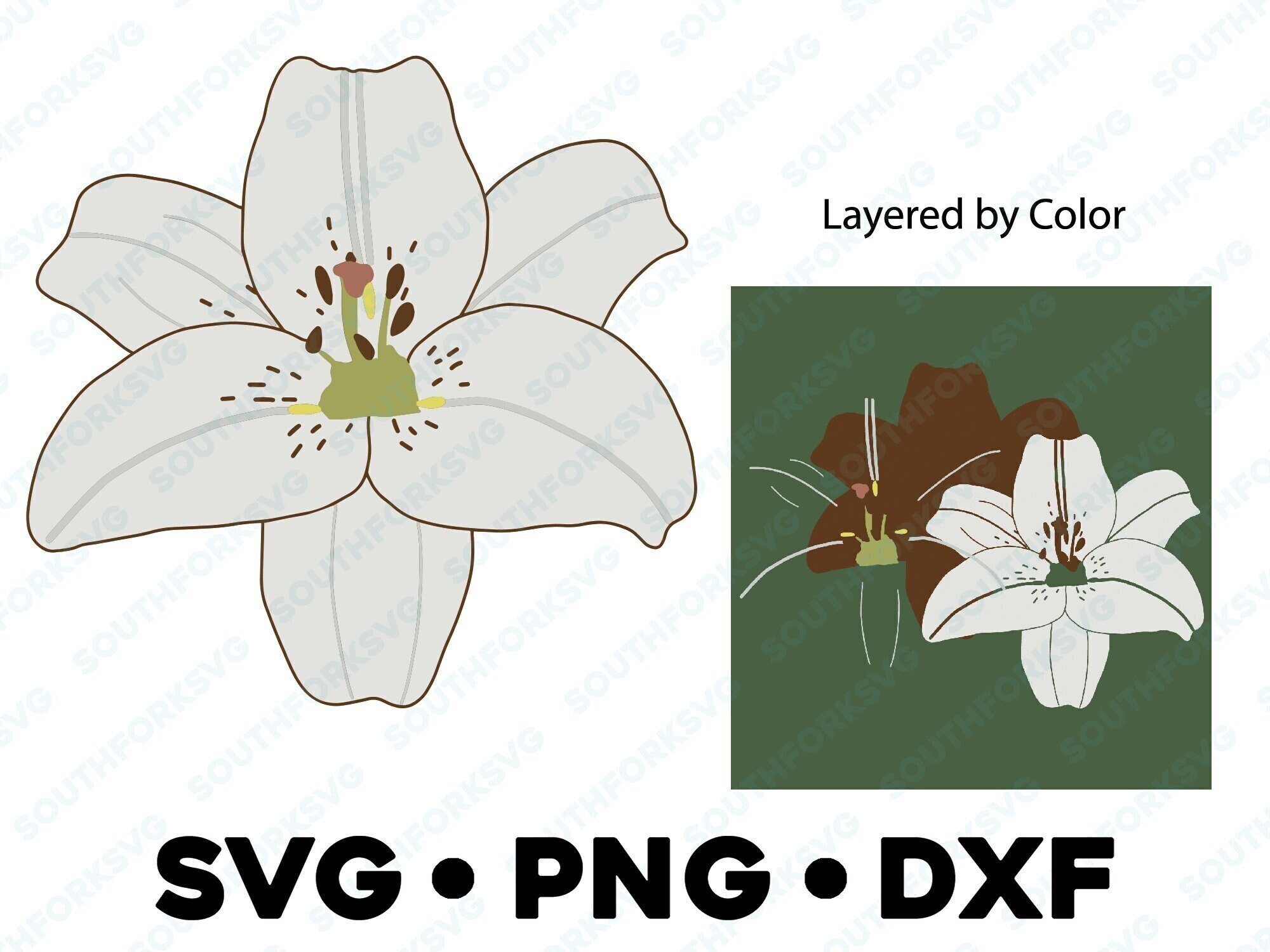 White Lily SVG PNG DXF Layered by Color Cut File Cricut Etsy