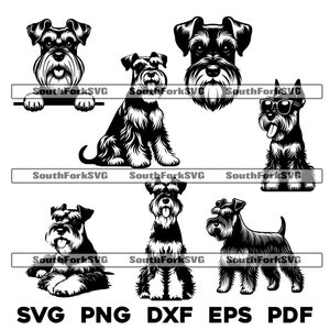 Dwergschnauzer bundel svg png dxf eps pdf | vectorafbeelding snijbestand laserclipart | direct digitaal downloaden voor commercieel gebruik