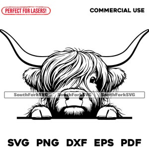Hooglandkoekop gluren | svg png dxf eps pdf | transparant vector grafisch ontwerp gesneden print kleurstof sub laser graveerbestanden commercieel gebruik