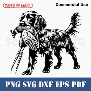 Perro de caza faisán Boykin Spaniel svg png dxf eps pdf / archivo de corte vectorial clip art láser descarga instantánea uso comercial