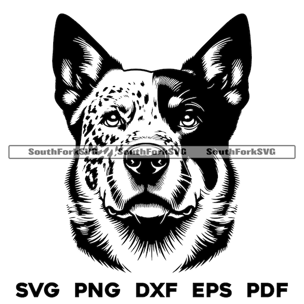 Australian Cattle Dog Head Design | svg png dxf eps pdf | vector graphic cut file laser clip art | instant digital download commercial use