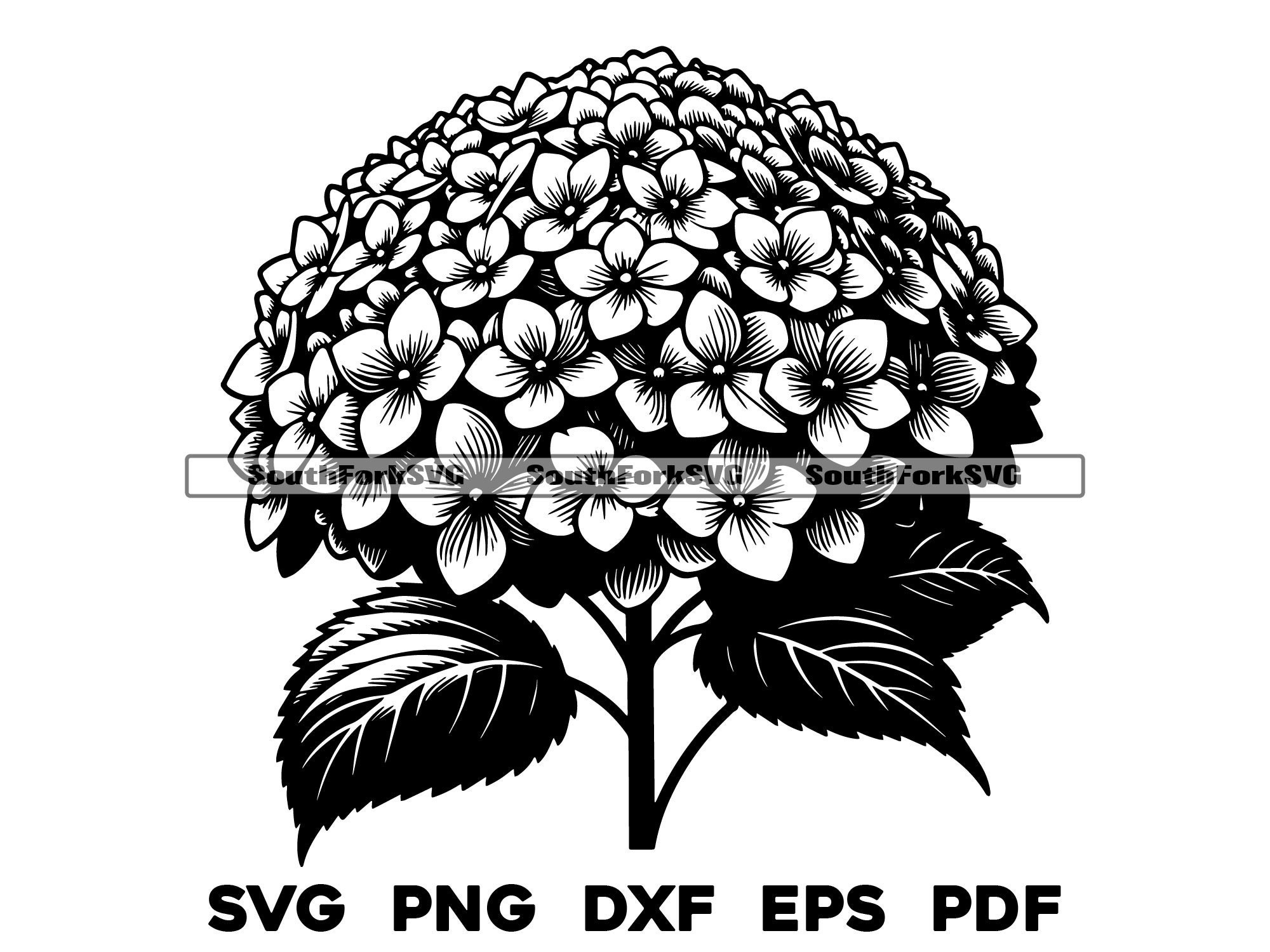 Hydrangea Flower Floral Design Svg Png Dxf Eps Pdf | Vector Graphic Cut ...