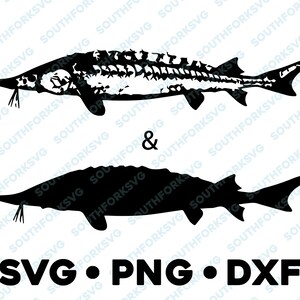 May include: Digital cut files featuring sturgeon fish in SVG and PNG formats. The image shows a detailed sturgeon outline and a solid black silhouette. The text at the bottom reads "SVG • PNG • DXF".