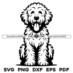 Goldendoodle Dog Sitting Design | svg png dxf eps pdf | arquivo de corte de gráfico vetorial a laser clip art | download digital instantâneo uso comercial
