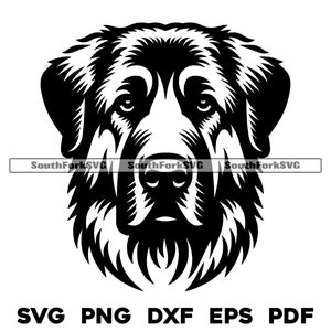 May include: Black and white illustration of a dog's head. The dog has a short, fluffy coat and a serious expression.