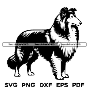 Collie Hund stehend Design | svg png dxf eps pdf | Vektorgrafik Datei Laser Clip Art schneiden | sofortiger digitaler Download kommerzielle Nutzung