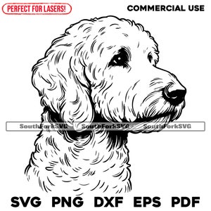 Goldendoodle Portrait svg png dxf eps pdf | Image vectorielle fichier découpé laser clip art téléchargement numérique instantané utilisation commerciale