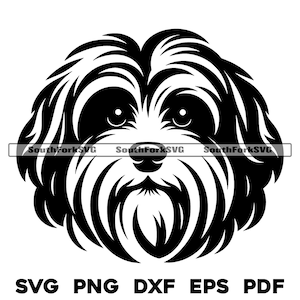 Ontwerp Havanezer hondenkop | svg png dxf eps pdf | vectorafbeelding snijbestand laserclipart | direct digitaal downloaden voor commercieel gebruik