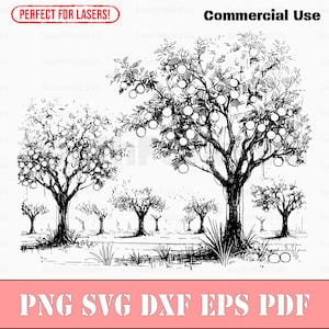 Orangen- / Obstbaumhain Obstgarten Laserdateien svg png dxf eps pdf Vektorgrafik Cut Print Dye sub Cnc digitale Dateien Kommerzielle Nutzung