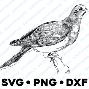 Tourterelle triste SVG PNG DXF image clipart vectoriel hibou grand duc effraie des cloches rouge-gorge oiseau chanteur mésange cardinale geai bleu