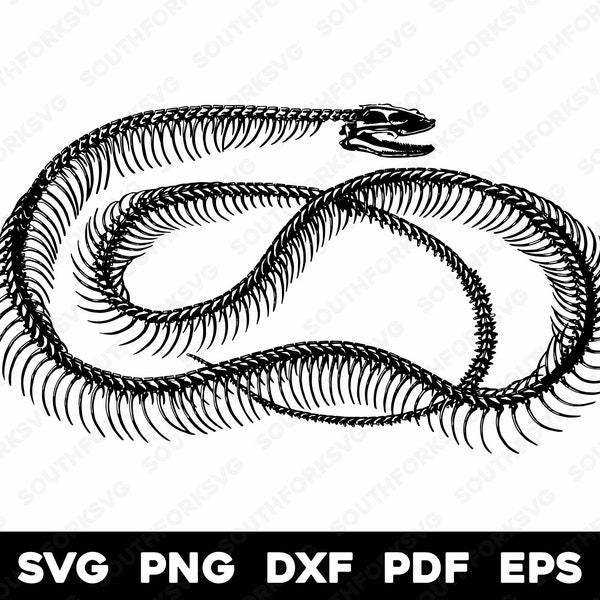 Snake Skeleton | svg png dxf eps pdf | transparent vector graphic design cut print dye sub laser engrave cnc digital files