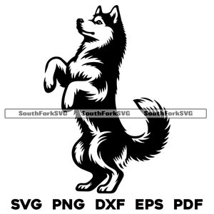 Siberian Husky Hund stehend Design | svg png dxf eps pdf | Vektorgrafik Datei Laser Clip Art schneiden | sofortiger digitaler Download kommerzielle Nutzung