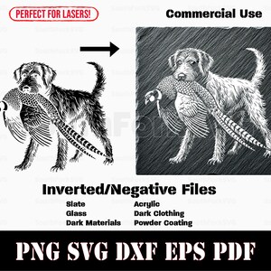 Op de afbeelding: Zwart-witte illustratie van een hond die een fazant in zijn bek draagt. De afbeelding is geschikt voor lasersnijden en is beschikbaar in de formaten PNG, SVG, DXF, EPS en PDF.