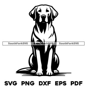 Labrador Retriever Sitting Design | svg png dxf eps pdf | vector graphic cut file laser clip art | instant digital download commercial use