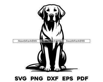 Labrador Retriever Sitting Design | svg png dxf eps pdf | vector graphic cut file laser clip art | instant digital download commercial use