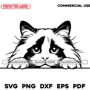 Diseño de gato Ragdoll espiando / svg png dxf eps pdf / archivo de corte gráfico vectorial clip art láser / descarga digital instantánea para uso comercial